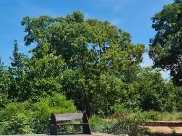 Sítio e chácara venda em Região Geográfica Imediata de Cuiabá, Região Metropolitana do Vale do Rio Cuiabá
