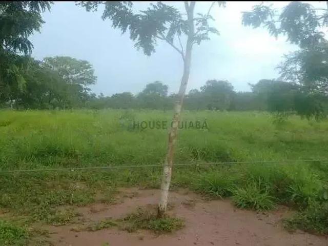 Sítio e chácara venda em Região Geográfica Imediata de Cuiabá, Região Metropolitana do Vale do Rio Cuiabá