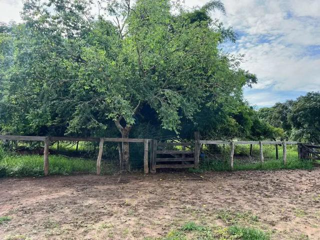Sítio e chácara venda em Região Geográfica Imediata de Cuiabá, Região Metropolitana do Vale do Rio Cuiabá