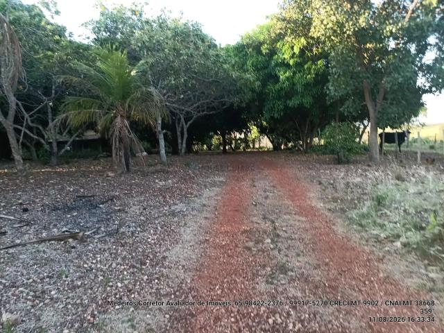 Sítio e chácara venda em Região Geográfica Imediata de Cuiabá, Região Metropolitana do Vale do Rio Cuiabá