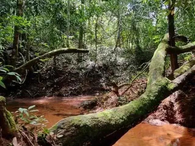 Sítio e chácara venda em Região Geográfica Imediata de Cuiabá, Região Metropolitana do Vale do Rio Cuiabá