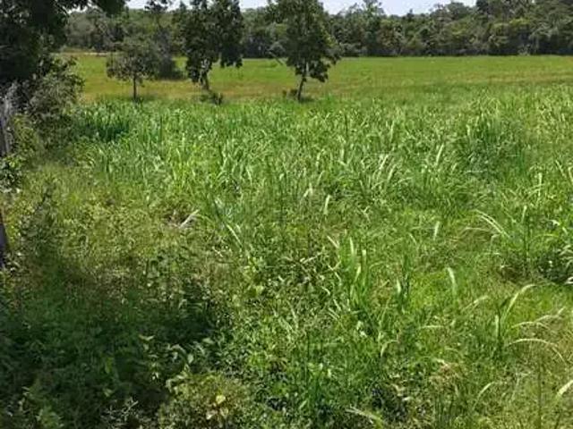 Sítio e chácara venda em Região Geográfica Imediata de Cuiabá, Região Metropolitana do Vale do Rio Cuiabá