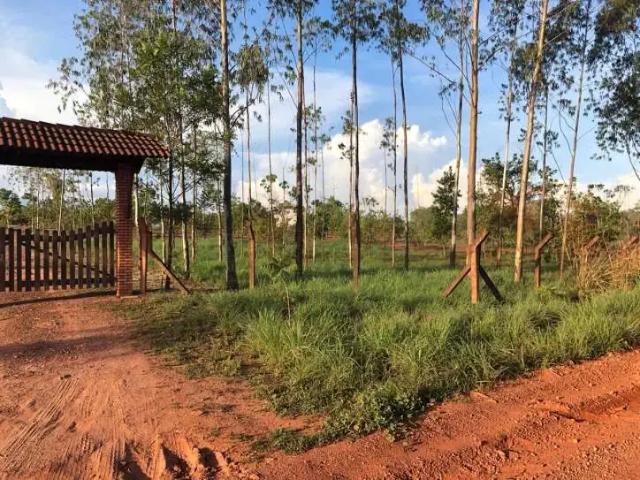 Sítio e chácara venda em Região Geográfica Imediata de Cuiabá, Região Metropolitana do Vale do Rio Cuiabá
