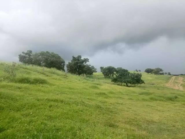 Sítio e chácara venda em Região Geográfica Imediata de Cuiabá, Região Metropolitana do Vale do Rio Cuiabá