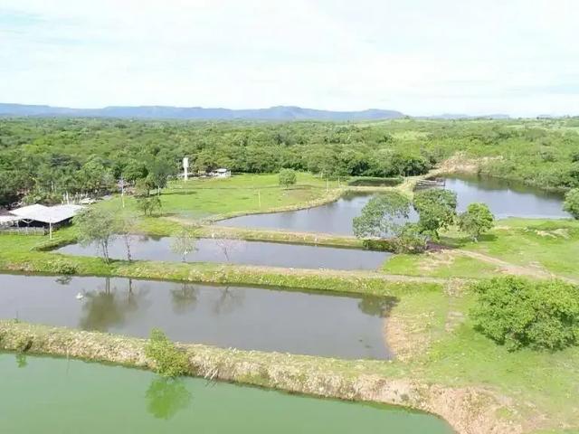 Sítio e chácara venda em Região Geográfica Imediata de Cuiabá, Região Metropolitana do Vale do Rio Cuiabá
