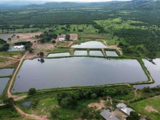 Sítio e chácara venda em Região Geográfica Imediata de Cuiabá, Região Metropolitana do Vale do Rio Cuiabá