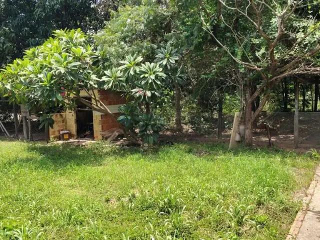 Sítio e chácara venda em Região Geográfica Imediata de Cuiabá, Região Metropolitana do Vale do Rio Cuiabá