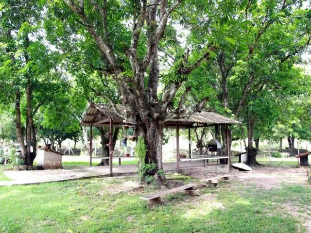 Sítio e chácara venda em Região Geográfica Imediata de Cuiabá, Região Metropolitana do Vale do Rio Cuiabá