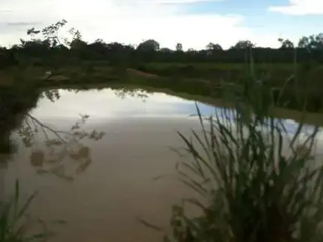 Sítio e chácara venda em Região Geográfica Imediata de Cuiabá, Região Metropolitana do Vale do Rio Cuiabá