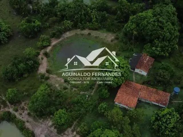 Sítio e chácara venda em Região Geográfica Imediata de Cuiabá, Região Metropolitana do Vale do Rio Cuiabá