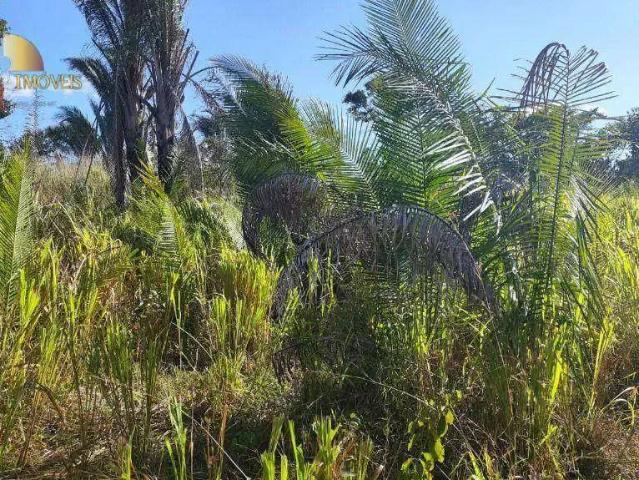 Sítio e chácara venda em Região Geográfica Imediata de Cuiabá, Região Metropolitana do Vale do Rio Cuiabá