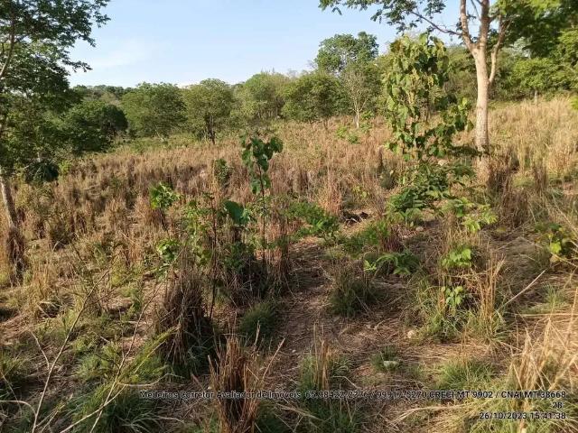Sítio e chácara venda em Região Geográfica Imediata de Cuiabá, Região Metropolitana do Vale do Rio Cuiabá