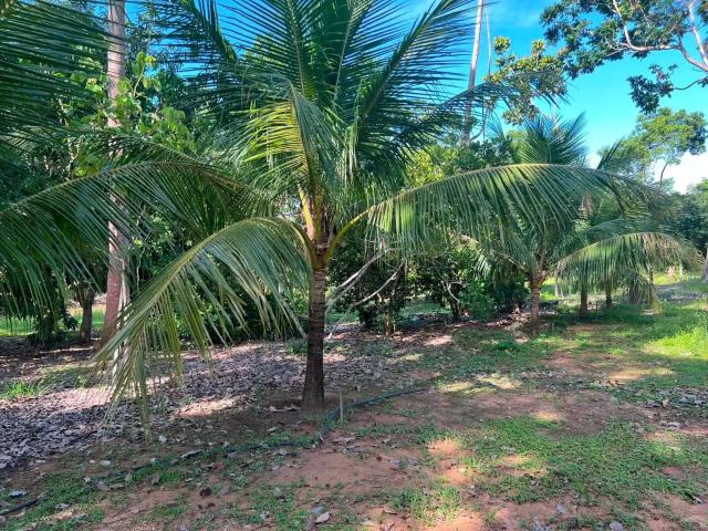 Sítio e chácara venda em Região Geográfica Imediata de Cuiabá, Região Metropolitana do Vale do Rio Cuiabá