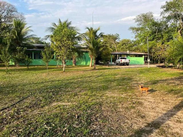 Sítio e chácara venda em Região Geográfica Imediata de Cuiabá, Região Metropolitana do Vale do Rio Cuiabá