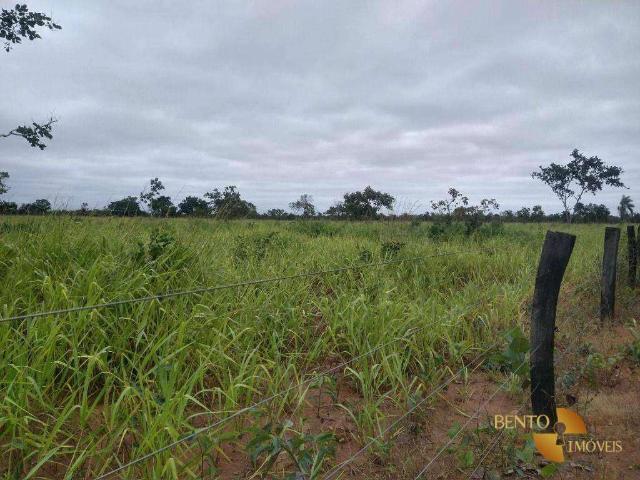 Sítio e chácara venda em Araés, Cuiabá