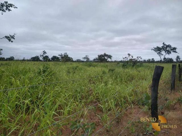 Sítio e chácara venda em Região Geográfica Imediata de Cuiabá, Região Metropolitana do Vale do Rio Cuiabá