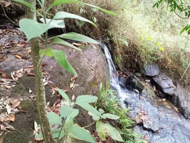 Sítio e chácara venda em Região Imediata de Guaratinguetá, Região Metropolitana do Vale do Paraíba e Litoral Norte