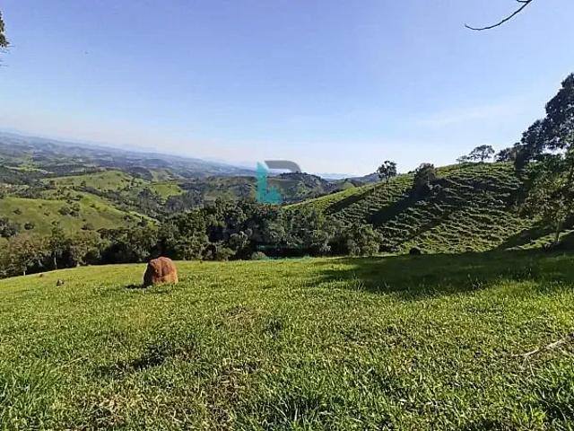 Sítio e chácara venda em Região Imediata de Guaratinguetá, Região Metropolitana do Vale do Paraíba e Litoral Norte