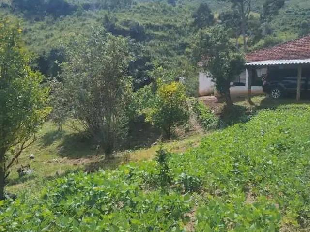 Sítio e chácara venda em Região Imediata de Guaratinguetá, Região Metropolitana do Vale do Paraíba e Litoral Norte