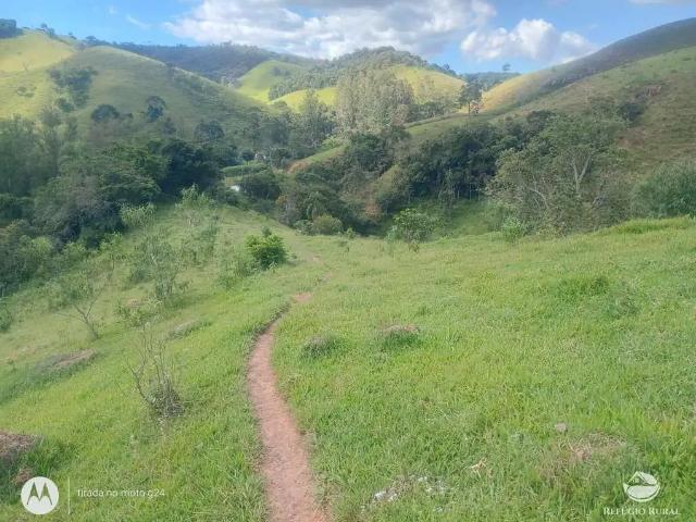Sítio e chácara venda em Região Imediata de Guaratinguetá, Região Metropolitana do Vale do Paraíba e Litoral Norte