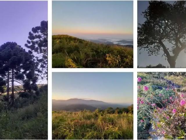 Sítio e chácara venda em Região Imediata de Guaratinguetá, Região Metropolitana do Vale do Paraíba e Litoral Norte