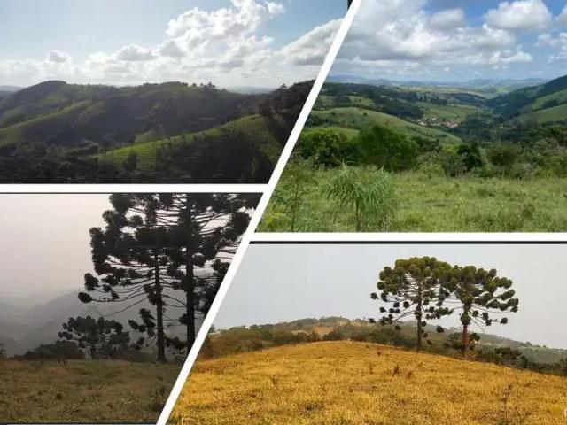 Sítio e chácara venda em Região Imediata de Guaratinguetá, Região Metropolitana do Vale do Paraíba e Litoral Norte