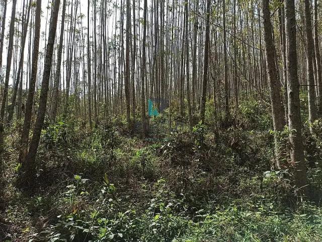 Sítio e chácara venda em Região Imediata de Guaratinguetá, Região Metropolitana do Vale do Paraíba e Litoral Norte