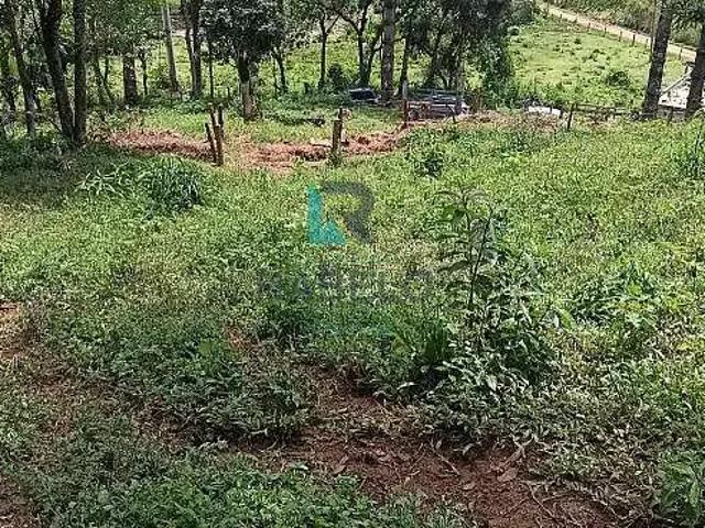 Sítio e chácara venda em Região Imediata de Guaratinguetá, Região Metropolitana do Vale do Paraíba e Litoral Norte