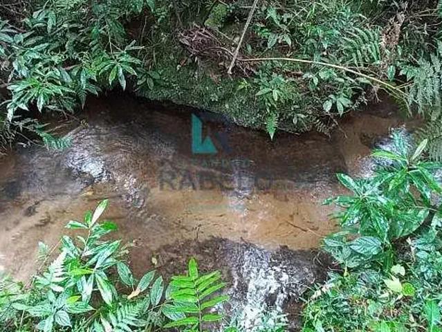 Sítio e chácara venda em Região Imediata de Guaratinguetá, Região Metropolitana do Vale do Paraíba e Litoral Norte