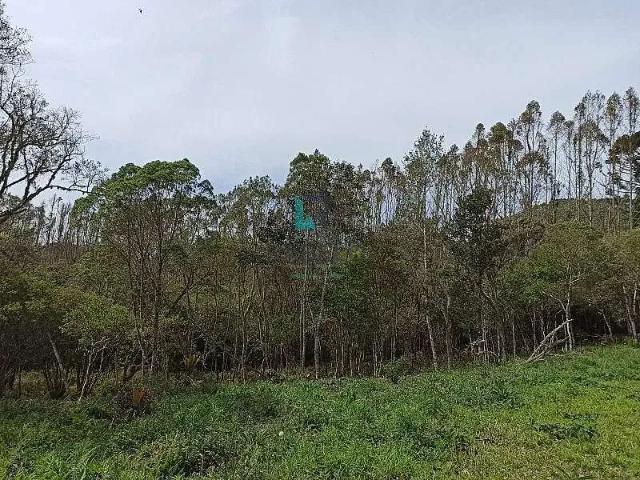 Sítio e chácara venda em Região Imediata de Guaratinguetá, Região Metropolitana do Vale do Paraíba e Litoral Norte