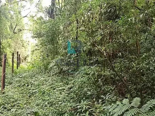 Sítio e chácara venda em Região Imediata de Guaratinguetá, Região Metropolitana do Vale do Paraíba e Litoral Norte