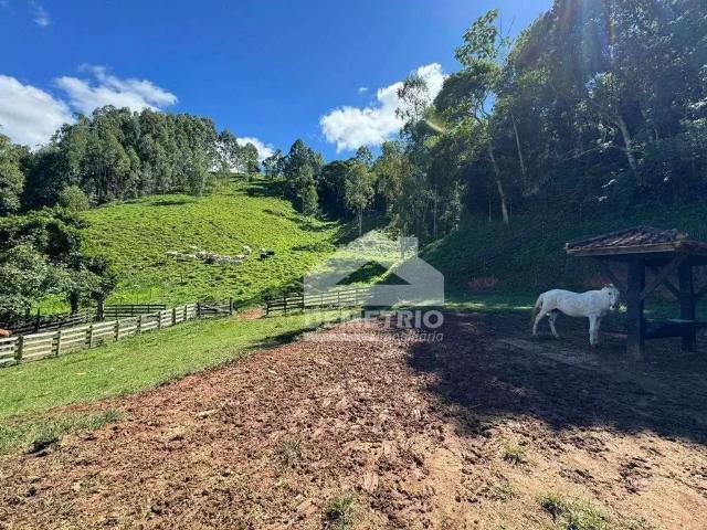 Sítio e chácara venda em Região Imediata de Guaratinguetá, Região Metropolitana do Vale do Paraíba e Litoral Norte