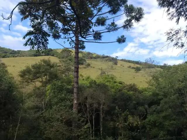 Sítio e chácara venda em Região Imediata de Guaratinguetá, Região Metropolitana do Vale do Paraíba e Litoral Norte