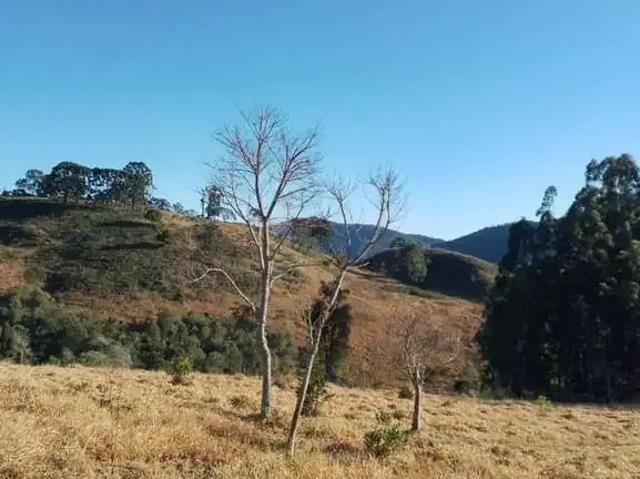 Sítio e chácara venda em Região Imediata de Guaratinguetá, Região Metropolitana do Vale do Paraíba e Litoral Norte