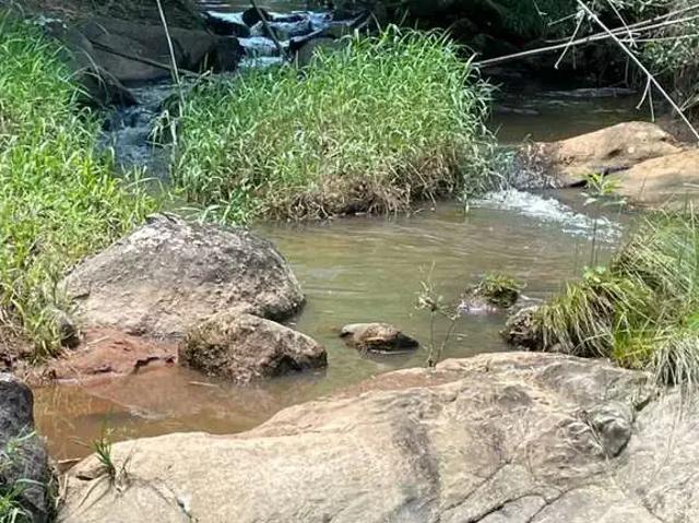 Sítio e chácara venda em Região Imediata de Guaratinguetá, Região Metropolitana do Vale do Paraíba e Litoral Norte