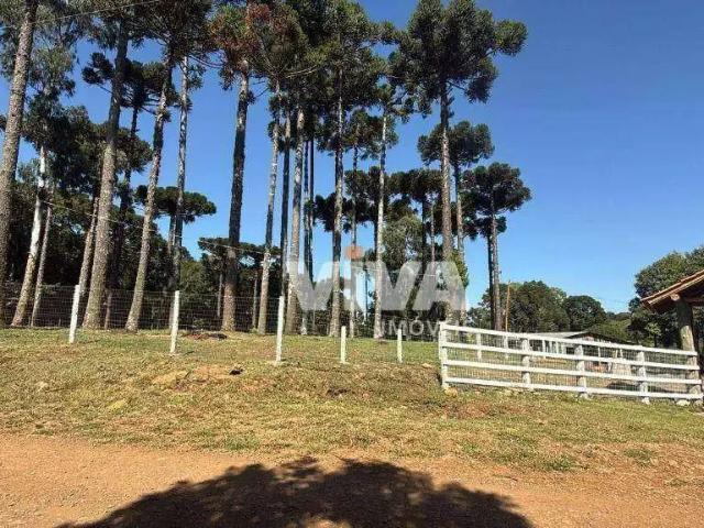 Sítio e chácara venda em Região Geográfica Imediata de Curitibanos, Curitibanos
