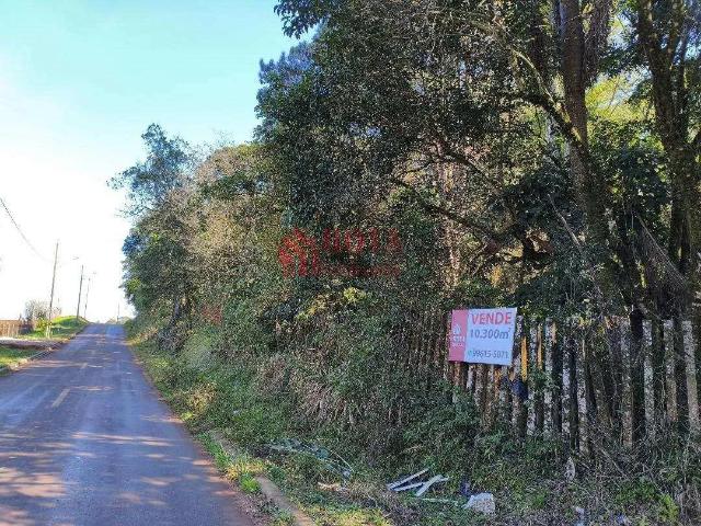 Sítio e chácara venda em Região Geográfica Imediata de Curitiba, Região Metropolitana de Curitiba