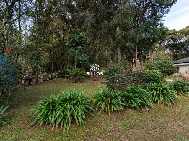 Sítio e chácara venda em Região Geográfica Imediata de Curitiba, Região Metropolitana de Curitiba
