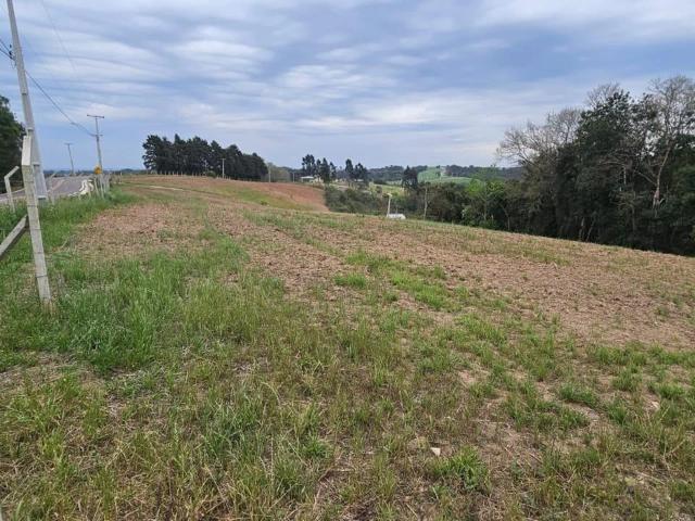 Sítio e chácara venda em Curitiba, Região Geográfica Intermediária de Curitiba