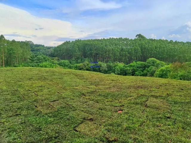 Sítio e chácara venda em Curitiba, Paraná