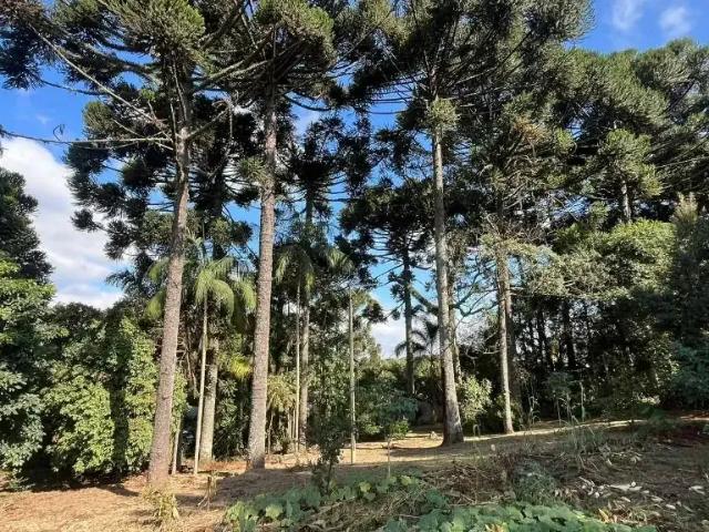 Sítio e chácara venda em Região Geográfica Imediata de Curitiba, Região Metropolitana de Curitiba