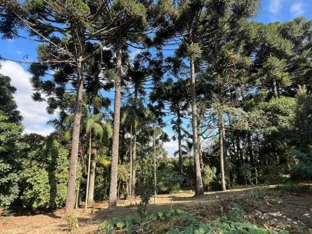 Sítio e chácara venda em Região Geográfica Imediata de Curitiba, Região Metropolitana de Curitiba