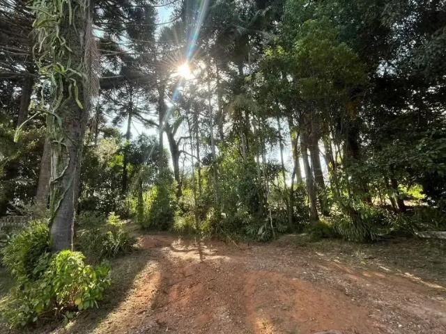 Sítio e chácara venda em Região Geográfica Imediata de Curitiba, Região Metropolitana de Curitiba