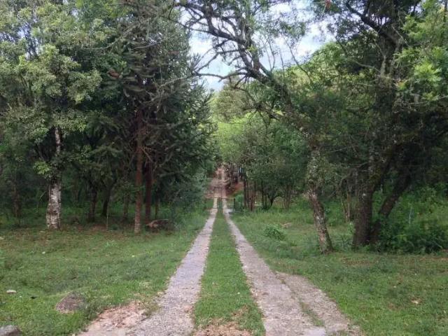 Sítio e chácara venda em Região Geográfica Imediata de Curitiba, Região Metropolitana de Curitiba
