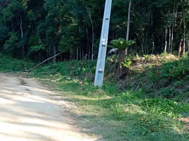 Sítio e chácara venda em Região Geográfica Imediata de Curitiba, Região Metropolitana de Curitiba