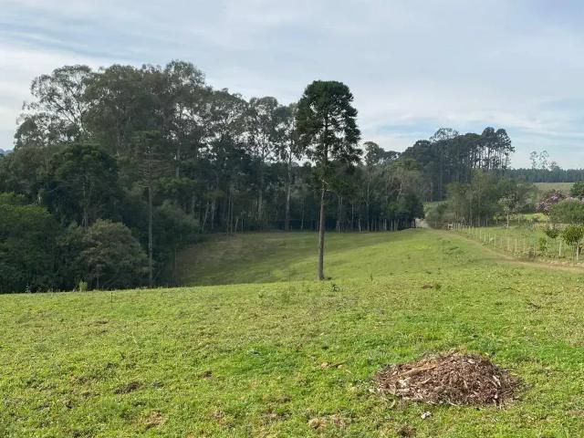 Sítio e chácara venda em Região Geográfica Imediata de Curitiba, Região Metropolitana de Curitiba