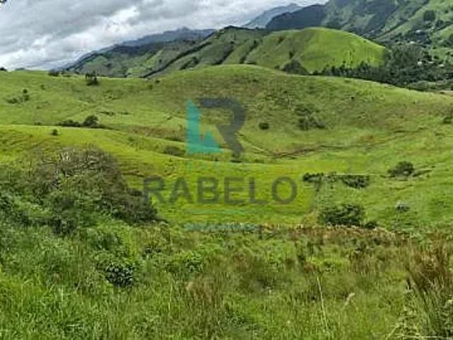 Sítio e chácara venda em Região Geográfica Imediata de Itajubá, Delfim Moreira