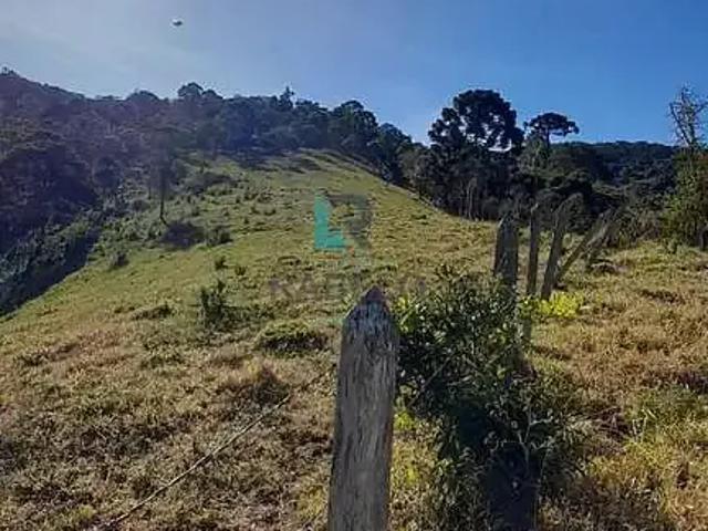 Sítio e chácara venda em Região Geográfica Imediata de Itajubá, Delfim Moreira