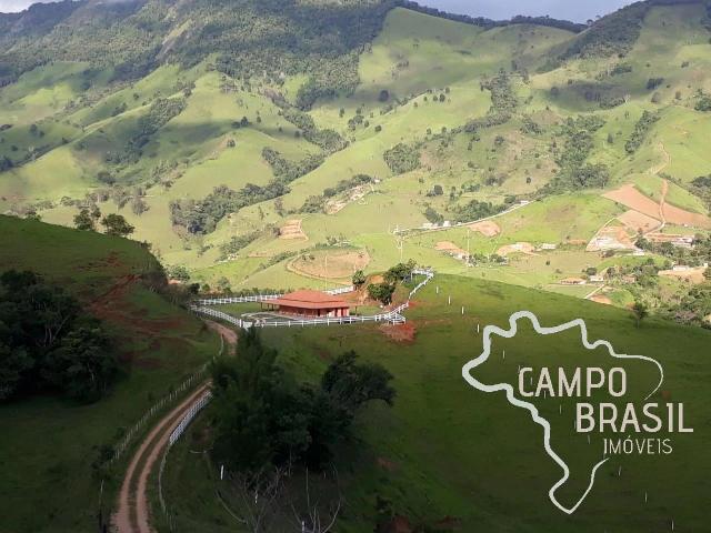Sítio e chácara venda em Delfim Moreira