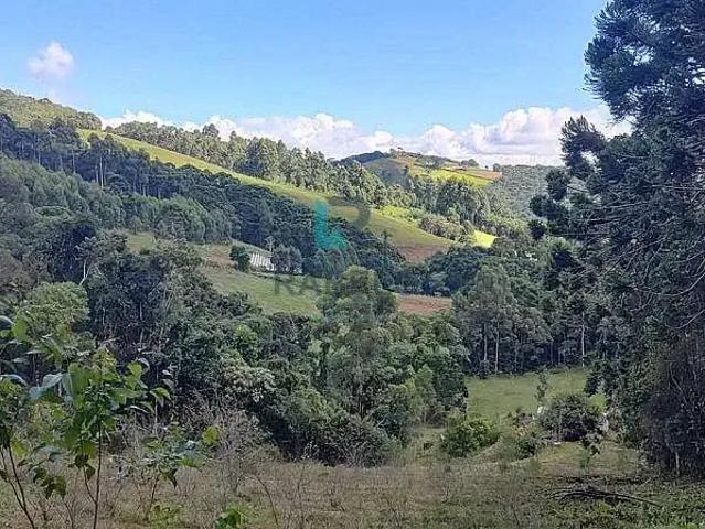 Sítio e chácara venda em Região Geográfica Imediata de Itajubá, Delfim Moreira